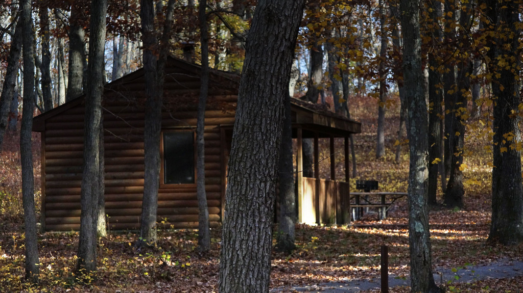 cabin autumn